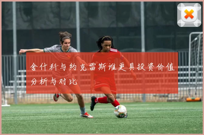 舍什科与约克雷斯谁更具投资价值分析与对比